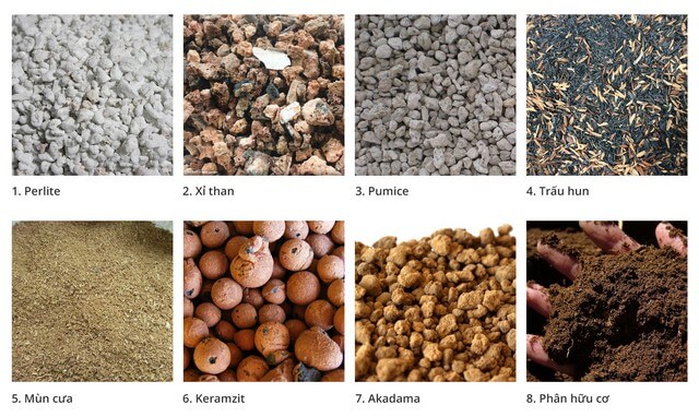 Các nguyên liệu thường dùng trộn đất trồng sen đá