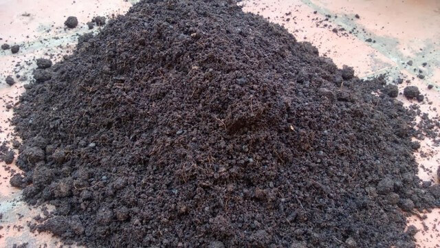 Ủ mùn cưa thành phân hữu cơ bón đất rất hiệu quả