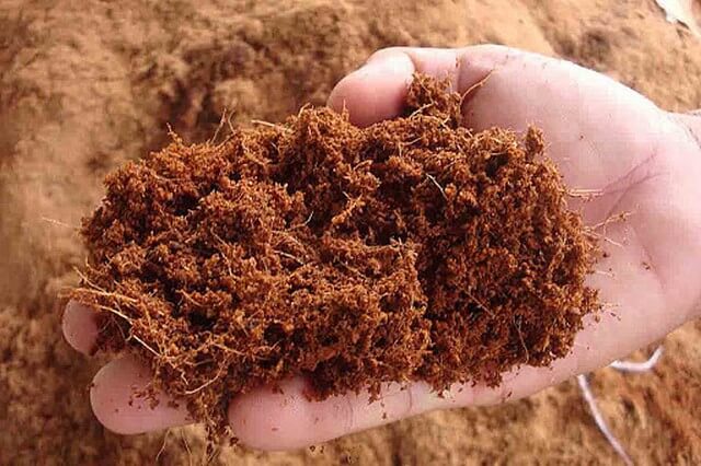 Đất sạch được tạo ra từ các thành phần dinh dưỡng sạch