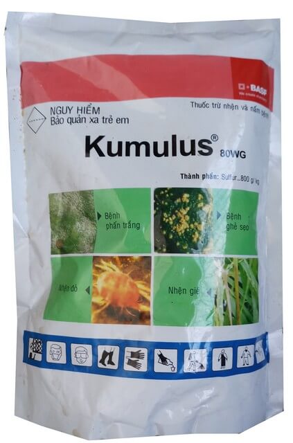 Kumulus 80WG là sản phẩm đặc trị phấn trắng hiệu quả xuất xứ từ Đức
