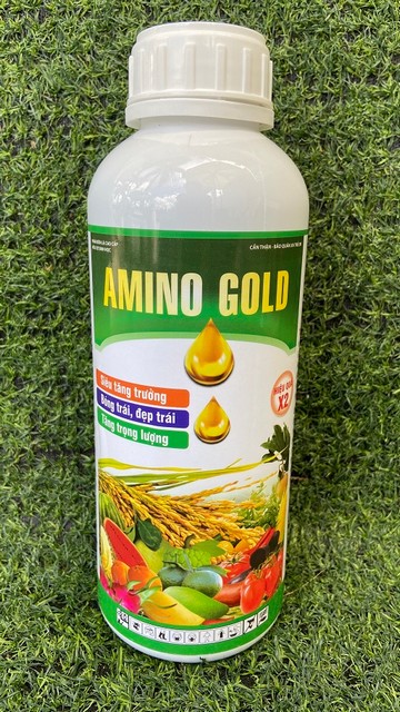 Phân bón lá Amino Gold chuyên cung cấp acid amin dưỡng trái lớn, đẹp