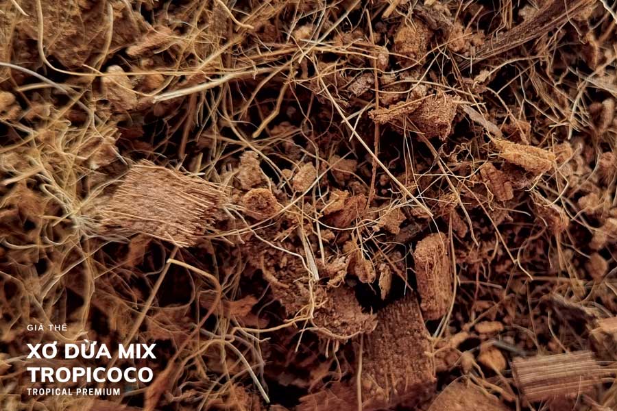 Giá thể xơ dừa trộn tropicoco-40-30-30 post