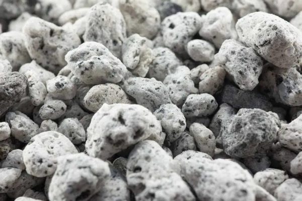 Những lợi ích của đá Pumice trồng sen đá