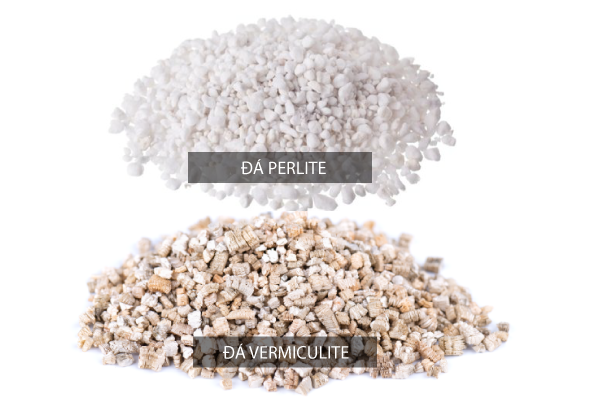So sánh đá Perlite và đá Vermiculite