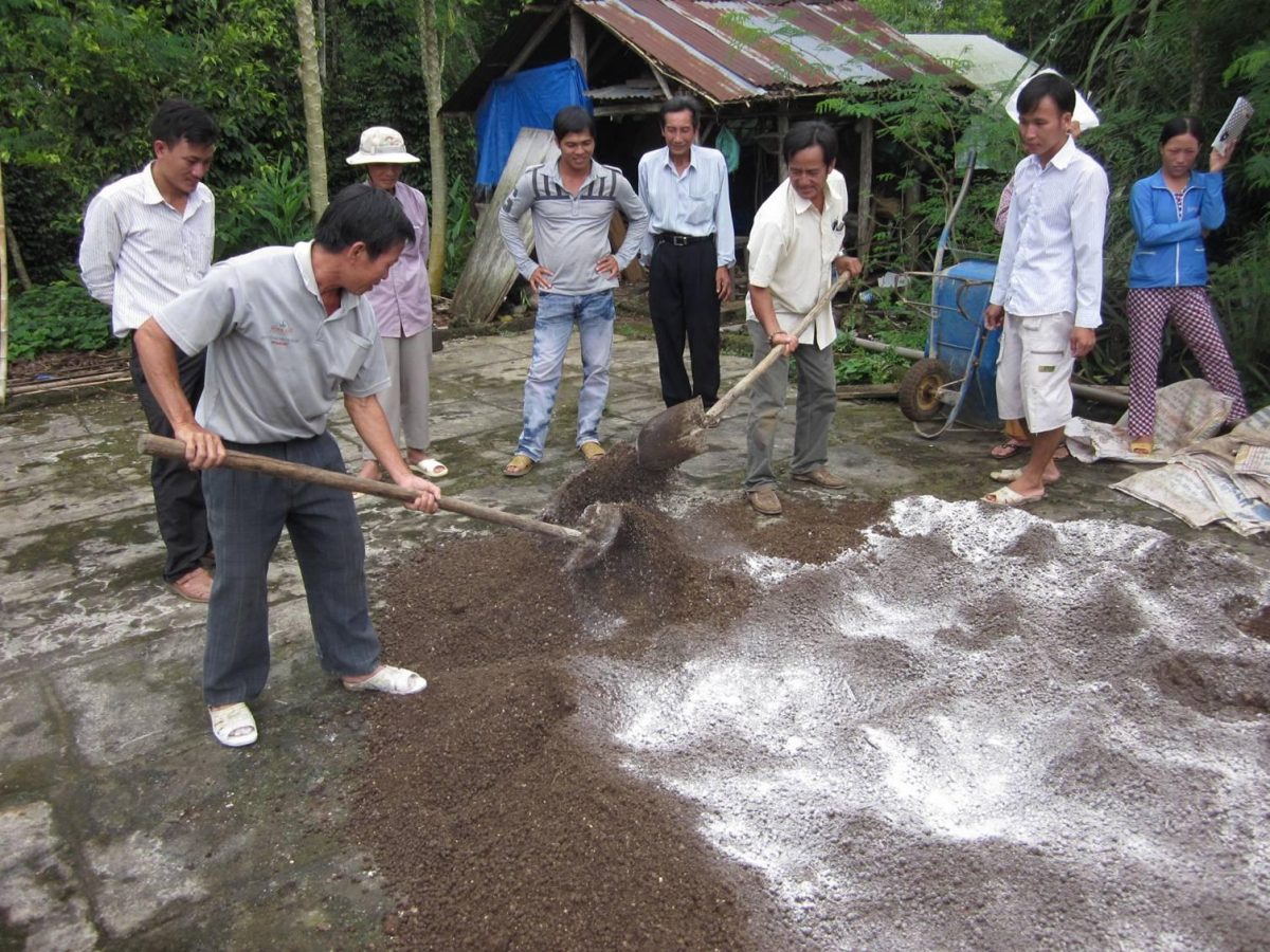 phân bò hoai mục