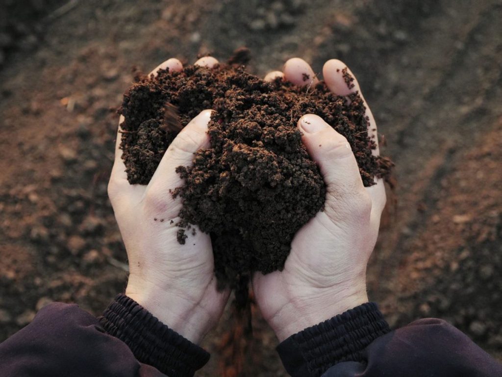 Nguyên liệu sản xuất đất sạch thường gồm những gì?