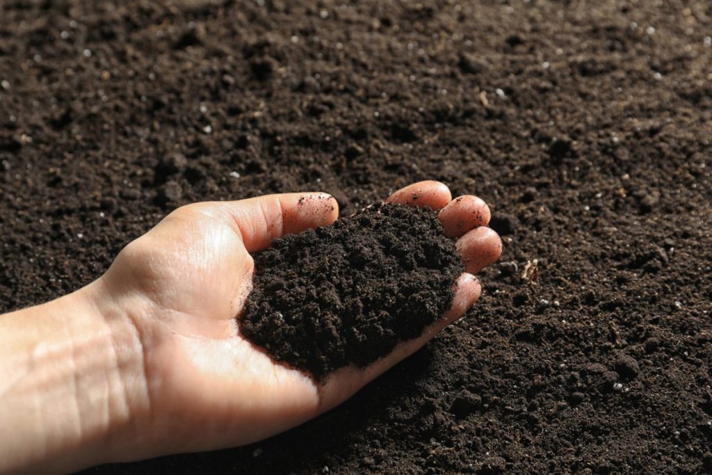 nguyên liệu sản xuất đất sạch đóng bao than bùn