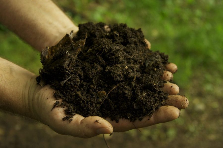 Điểm danh 3 loại phân bón cải tạo đất trồng tốt nhất cho nhà vườn 2