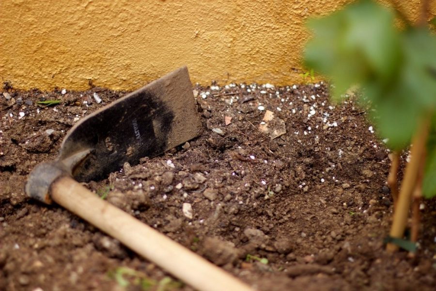Hướng dẫn quy trình cải tạo đất phèn chua hiệu quả cho nhà vườn 1