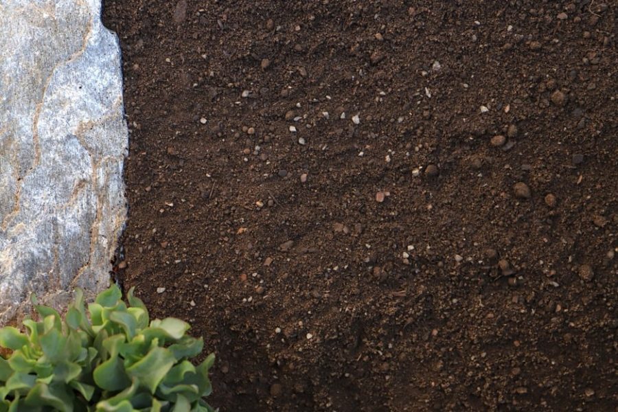 Hướng dẫn quy trình cải tạo đất phèn chua hiệu quả cho nhà vườn