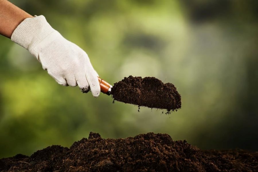 Hướng dẫn sử dụng đá Vermiculite cải tạo đất trồng rau cực hiệu quả