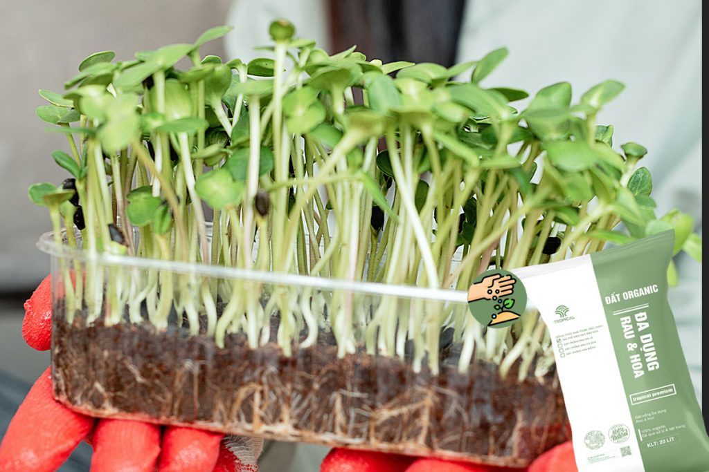 Top 5 shop bán giá thể trồng rau mầm tại quận Tân Bình