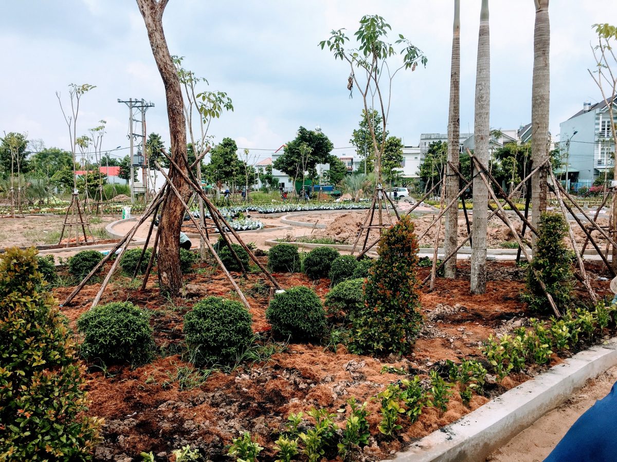 Cửa hàng bán đất trồng cây công trình tại quận Tân Bình 1