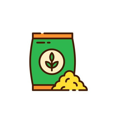 Kỹ thuật trồng Cúc Tần Ấn Độ trên ban công, sân thượng - Thế giới giá ...