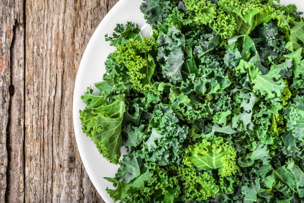 Hướng dẫn bạn kỹ thuật trồng cải Kale chuẩn nhất